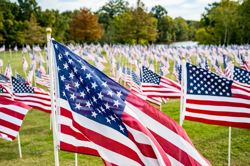 Rows of small American flags planted on a lawn in a field of honor