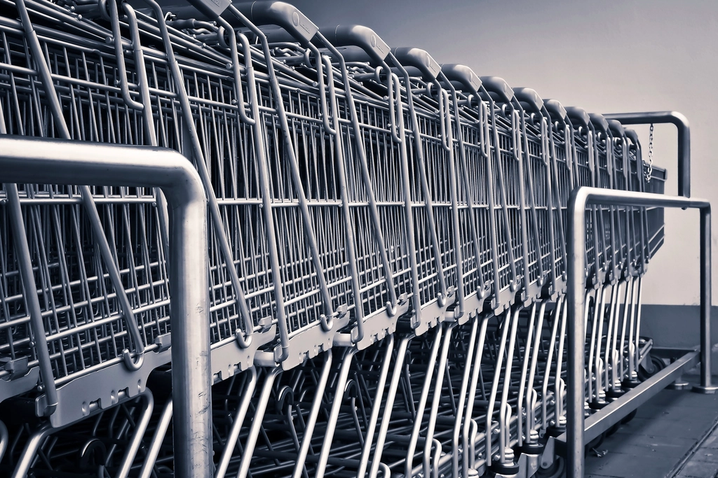 Rows of empty metal shopping carts lined up in black and white
